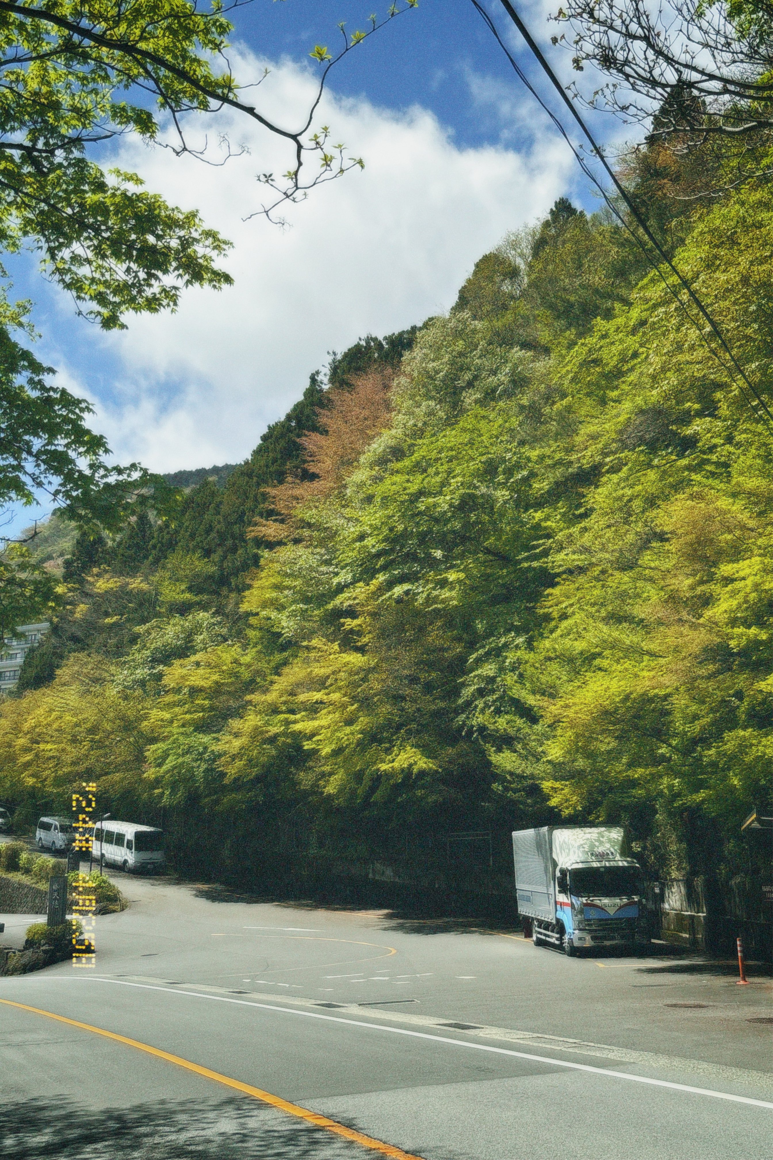 Hakone Mountain